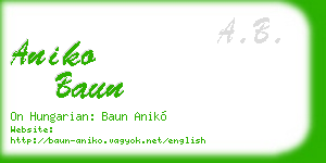 aniko baun business card